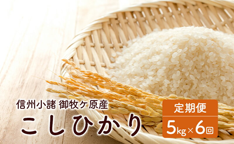 【ふるさと納税】信州小諸 御牧ケ原産こしひかり定期便（5kg×6回）　【定期便・ ブランド米 銘柄米 白米 精米 ご飯 おにぎり お弁当 和食 】 2