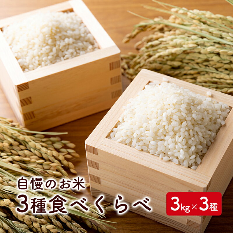 当店自慢のお米3種食べくらべ 3kg×3種 [ ブランド米 銘柄米 白米 精米 ご飯 おにぎり お弁当 和食 ]