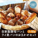 【ふるさと納税】自家製酵母パンとライ麦パンのおまかせセット ベーカリー ドイツ こだわり 美味しい 完全自給 植物性乳酸菌 食べやすい i蒸し焼き しっとり 酸...