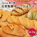 【ふるさと納税】自家製酵母パンおまかせ6～7個セット　【 ベーカリー ドイツ こだわり 美味しい 完全自給 植物性乳酸菌 食べやすい i..