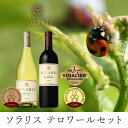 【ふるさと納税】テロワールセット(紅白セット) ワイン お酒 赤ワイン 白ワイン ワインセット 果実味 しっかりしたタンニン(4)