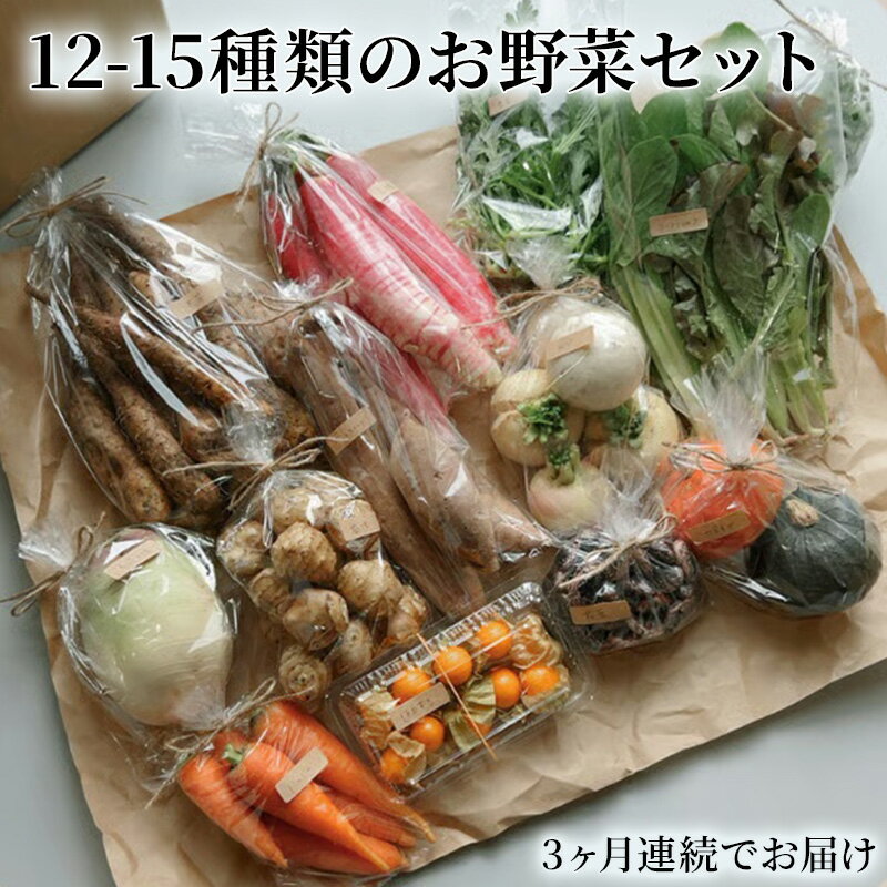 【ふるさと納税】野菜の定期便 てのひら小諸 12～15種