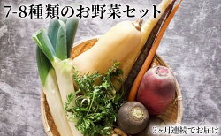 【ふるさと納税】野菜の定期便 てのひら小諸　7～8種類 3ヶ月連続お届け　【定期便・小諸市】　お届け：寄附金のご入金確認後の翌月から発送いたします 画像1