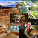 【ふるさと納税】登山電車で行く絶景露天風呂がある宿「常盤館」宿泊補助券3000円分 信州 ご当地 グルメ