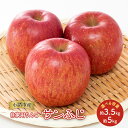 【ふるさと納税】りんご 自家用りんご サンふじ 選べる容量 (約3.5kg~約5kg) 信州りんご リンゴ 林檎 果物 くだもの フルーツ 信州 長野 お届け:2025年12月上旬~2026年1月中旬