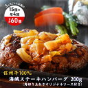 【ふるさと納税】【4回 定期便 /3ヵ月ごとにお届け】 海賊ステーキハンバーグ 200g×15個 ハンバーグ ソース付き 信州牛100% 長野 信州 小諸 繋ぎなし 冷凍 個包装