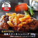 【ふるさと納税】【4回 定期便 /3ヵ月ごとにお届け】 海賊ステーキハンバーグ 200g×20個 ハンバーグ ソース付き 信州牛100% 長野 信州 小諸 繋ぎなし 冷凍 個包装