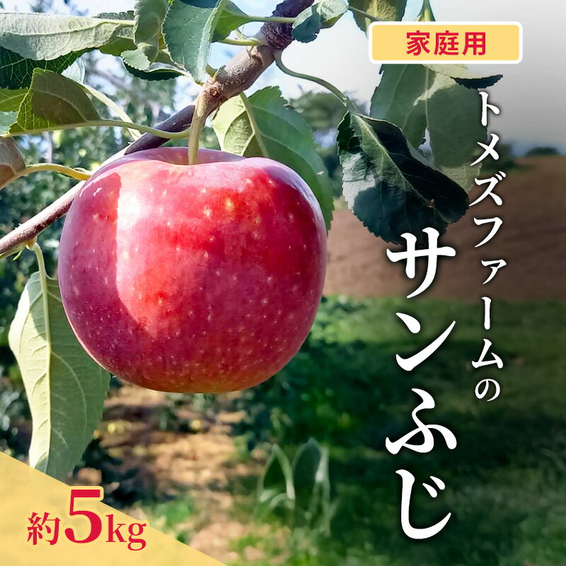 サンふじ(家庭用) 約5kg(15〜20玉入り)トメズファーム りんご 長野 信州 小諸 果物 フルーツ お届け:2026年11月下旬より順次発送致します。