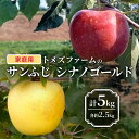 【ふるさと納税】サンふじ・シナノゴールド詰合せ(家庭用) 各約2.5kg 計5kg トメズファーム りんご 長野 信州 小諸 果物 フルーツ 食べ比べ