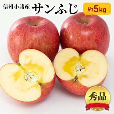 【ふるさと納税】信州小諸産 サンふじりんご 秀品 約5kg 