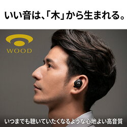 【ふるさと納税】【080-02】JVCケンウッド 完全ワイヤレスイヤホン HA-FW1000T ワイヤレスイヤホン bluetooth ワイヤレス iphone ブルートゥース イヤフォン アイフォン android アンドロイド スポーツ ランニング 家電 長野県 伊那市･･･ 画像1