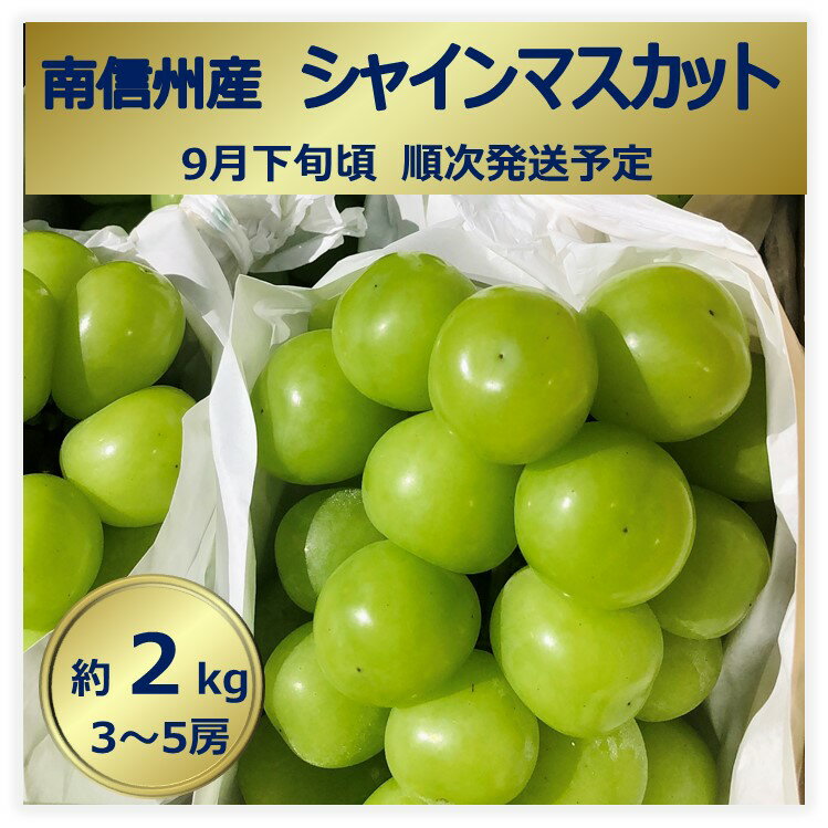 【ふるさと納税】【020-20】シャインマスカット　約2kg　長野県伊那市産　3～5房のサムネイル