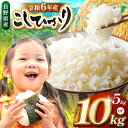 【ふるさと納税】 米 5kg 10kg コシヒカリ 令和6年産 JA上伊那 令和6年産 コシヒカリ 今ずり米 長野 上伊那産 お米 長野県産 こしひかり 5キロ 10キロ 選べる白米 精米 信州産 特産 産地直送 おすすめ こめ コメ おこめ 送料無料 長野県 伊那市