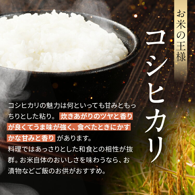 【ふるさと納税】 米 5kg 10kg コシヒカリ 令和7年産 JA上伊那 新米 コシヒカリ 今ずり米 長野 上伊那産 お米 長野県産 こしひかり 5キロ 10キロ 選べる白米 精米 信州産 特産 産地直送 おすすめ こめ コメ おこめ 送料無料 長野県 伊那市