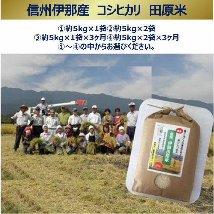 10位! 口コミ数「1件」評価「5」信州伊那　田原米　コシヒカリ