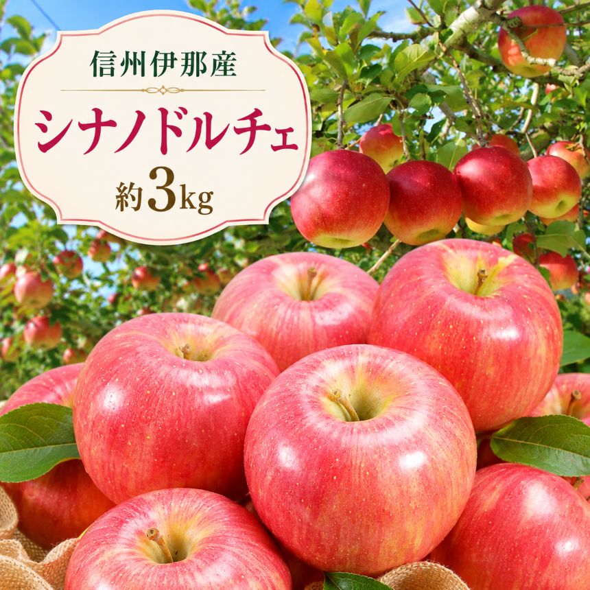 りんご 信州 伊那産 りんご シナノドルチェ 約3kg【9月中旬頃から順次発送予定】｜りんご リンゴ 林檎 果物 くだもの シナノドルチェ 伊那市 長野県 信州 【011-c3】