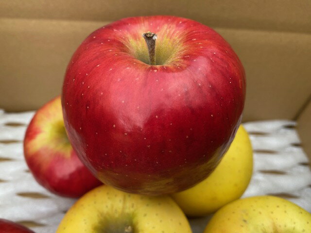 【ふるさと納税】貯蔵りんご奥州ロマ...