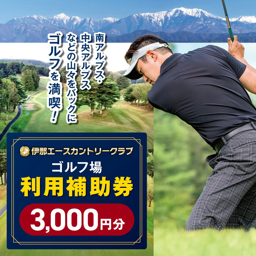 伊那エースカントリークラブ ゴルフ場利用補助券 3,000円分 3枚 長野県 伊那市 体験チケット