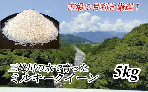 【ふるさと納税】【014-37】市場の目利きが選ぶお米　5kg　ミルキークイーン　長野県　伊那市　信州産のサムネイル