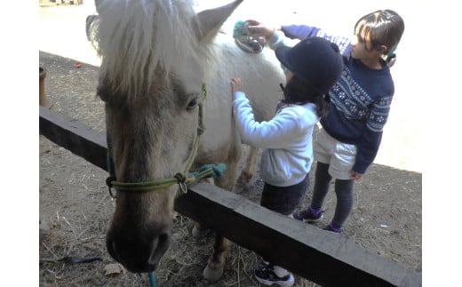 【ふるさと納税】里山で乗馬体験（馬のブラシがけと乗馬でむらをお散歩）1人でも複数人でも可能【055-12】｜長野県 伊那市 信州 馬 乗馬 乗馬体験 体験 散歩 ふるさと納税