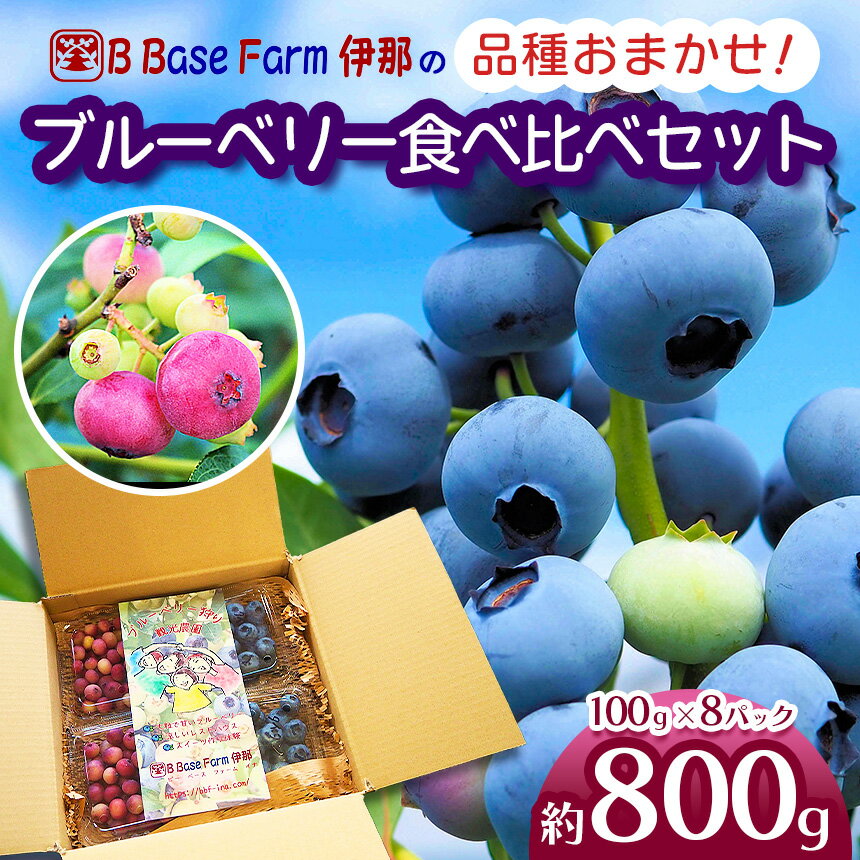 ブルーベリー 食べ比べ 品種 お任せ 100g×8パック B Base Farm伊那 | ブルーベリー フルーツ 国産ブルーベリー 果物 完熟 大粒 甘い 新鮮 食べ比べ 品種豊富 長野県産 長野県 信州 伊那市 [014-57]