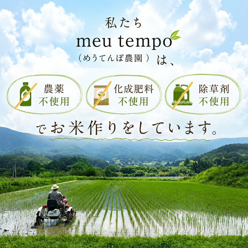 【ふるさと納税】 新米 先行予約 ＜白米＞コシヒカリ 【選べる】 3kg～13kg 令和8年産 めうてんぽ農園｜米 コシヒカリ こしひかり 白米 ご飯 お米 農薬不使用 化成肥料不使用 除草剤不使用 伊那 伊那産 長野県 ふるさと納税 f202096-ina-10000922 長野県伊那市 サンプル画像2