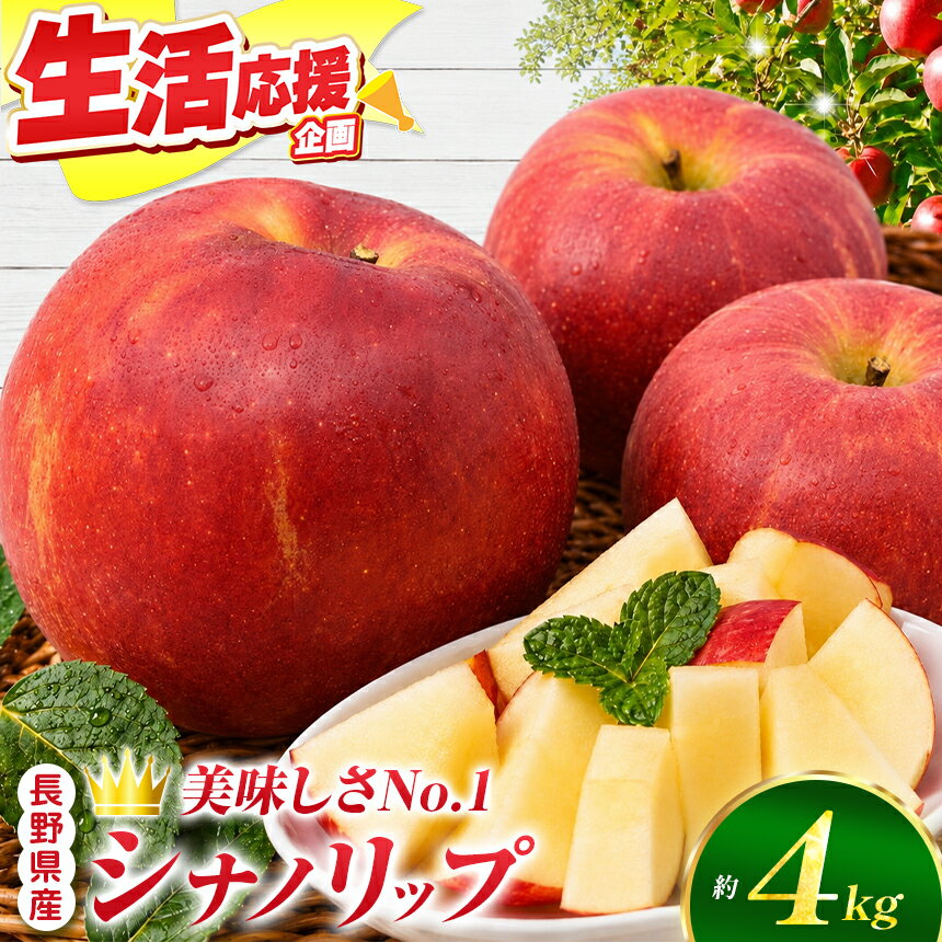 りんご シナノリップ 信州産の夏りんご 美味しさNO.1 さわやかな酸味 シナノリップ 約4kg | 果物 フルーツ 林檎 りんご シナノリップ 長野県 オリジナル 品種 伊那市 [012-64]8月中旬発送
