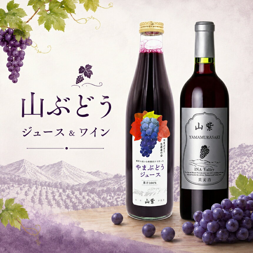 伊那市産 山ぶどうジュース 720ml ＆ 山ぶどう ワイン 720ml セット | 飲料 ジュース やまぶどう お酒 ワイン セット 伊那市 長野県 信州【018-29】