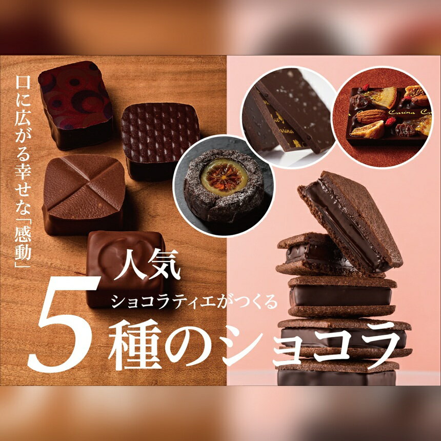 【ふるさと納税】 チョコレート ショコラ 詰め合わせ ギフト ガトーショコラ 塩チョコ テラコッタ 板チョコ ボンボンショコラ ｜ スイーツ チョコレート ショコラ ドルチェカリーナ パティシエ 人気 詰め合わせ セット 洋菓子 長野県 伊那市 【016-17】