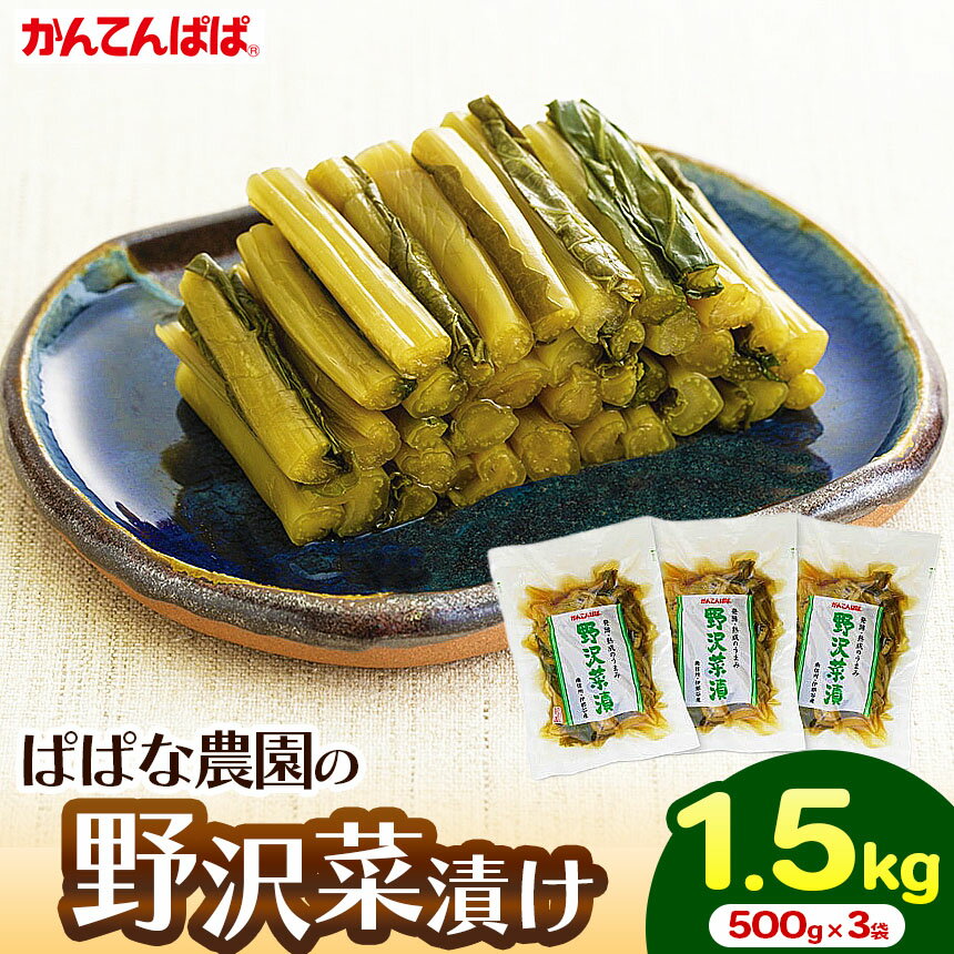 【ふるさと納税】 かんてんぱぱ ぱぱな農園の野沢菜漬け 500g×3袋 ｜ぱぱな農園 野沢菜漬け 野沢菜 漬物 国産 信州漬物 長野県 伊那市 ふるさと納税 ご飯のお供 【010-a5】