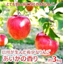 【ふるさと納税】【010-11】幻のりんごあいかの香り3キロ 信州が生んだ希少なりんごです（りんご リンゴ 林檎）長野県 伊那市 あいかの香り 3キロ 3kg 与古美