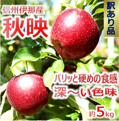 【010-31】信州の秋映　訳あり　5キロ！　信濃三兄弟の一つ（りんご・リンゴ・林檎）長野県　伊那市