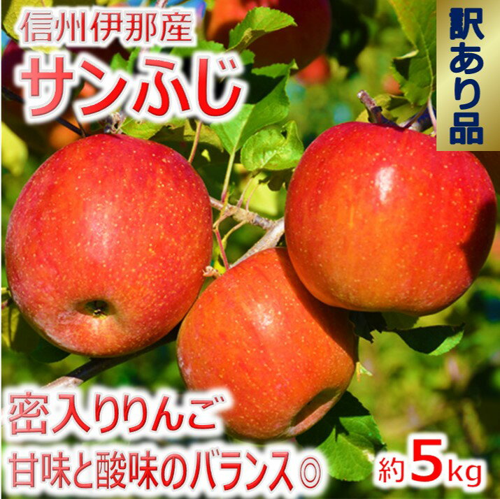 名称 信州のサンふじ　訳あり　5キロ！ （りんご・リンゴ・林檎） 特徴 　言わずと知れた、りんごの中でも名高い蜜入りりんご、サンふじです! サンふじは11月に採れる晩生種という品種です。酸味と甘みのバランスがとれた文句なしのりんごです。 信州の標高と日当たりによって美味しいサンふじが採れます。 　信州のサンふじを是非ご賞味ください。 【訳ありとは】 色むら、着色不良、葉擦れなどによる傷、黒点、ツル割れなどある場合があり、贈答用には適さない規格外品です。また、サンふじは蜜入りしやすい品種ですが、蜜入りを保証する物ではございません。信州の寒暖差で甘みが増したサンふじを是非ご賞味ください。こちらは傷等訳あり品となっております。 ■生産者の声 サンふじはりんごの王様と言っても過言ではない、りんごの中でもとても美味しい品種です。ただ、様々な品種がある中でもサンふじの栽培は難しいです。1つの木から贈答用として皆様にお届けできる物は半分位です。半分はツル割れをする等障害ができてしまいます。味は美味しいけれども、規格外になってしまう、そんなサンふじも皆様にご理解いただいてお届けできたらと思いでいます。 内容量 りんご（サンふじ）　信州産　約3キロ1箱 賞味期限 発送日から2ヵ月(要冷蔵) 注意事項 ※基本的に蜜入りりんごですが、その年の気候の関係で 　蜜の入りが悪い時があります。予めご了承ください。 ※画像はイメージです。 ※玉サイズは選択できませんので、予めご了承ください。 ※配送日の指定はできません。 ※11月下旬以降の発送を予定しています。 ※収穫状況によっては、お届けにお時間を頂戴する場合も 　ございます。 ※用意ができたものから順次発送します。 ※お申し込み多数により発送上限数に達した場合 　予告なくお申し込みを締め切ることがございます。 ★お届け予定日に関する個別のお問い合わせは、ご遠慮 　ください。 製造者 原産地 信州伊那産 信州のりんご与古美 長野県伊那市高遠町長藤616 電話：080-3474-6727 ファックス：0265－94－2548 ・ふるさと納税よくある質問はこちら ・寄付申込みのキャンセル、返礼品の変更・返品はできません。あらかじめご了承ください。言わずと知れた、りんごの中でも名高い蜜入りりんご、サンふじです! サンふじは11月に採れる晩生種という品種です。酸味と甘みのバランスがとれた文句なしのりんごです。 信州の標高と日当たりによって美味しいサンふじが採れます。 信州のサンふじを是非ご賞味ください。 【訳ありとは】 色むら、着色不良、葉擦れなどによる傷、黒点、ツル割れなどある場合があり、贈答用には適さない規格外品です。また、サンふじは蜜入りしやすい品種ですが、蜜入りを保証する物ではございません。信州の寒暖差で甘みが増したサンふじを是非ご賞味ください。こちらは傷等訳あり品となっております。 ■生産者の声 サンふじはりんごの王様と言っても過言ではない、りんごの中でもとても美味しい品種です。ただ、様々な品種がある中でもサンふじの栽培は難しいです。1つの木から贈答用として皆様にお届けできる物は半分位です。半分はツル割れをする等障害ができてしまいます。味は美味しいけれども、規格外になってしまう、そんなサンふじも皆様にご理解いただいてお届けできたらと思いでいます。 [寄附の使い道 ] 1.南・中央の二つのアルプスが育む自然環境・景観の保全 人類共通の財産である豊かな水や緑などの自然環境や美しい景観の保全などに活用します。 ・平成26年6月11日に南アルプスがユネスコエコパークに登録されました。また、南アルプスは日本ジオパークにも認定されています。 この豊かな自然を守るために、希少な動植物の保護や携帯トイレの普及、登山道整備などに取り組んでいます。 いただいた寄附金は、南アルプスの環境保全にも活用します。 2.観光・産業の充実 天下第一の桜「タカトオコヒガンザクラ」の育成や、観光、農林業、商工業などの産業の振興に活用します。 3.歴史・文化、スポーツの振興 文化財や地域芸能の保存・活用や、「春の高校伊那駅伝」などスポーツの振興に活用します。 4.教育・子育ての充実 未来の日本を支える人材の輩出するための環境整備や人材育成などに活用します。 5.医療・福祉の充実 ふるさとの父・母が健康で安心して暮らせるまちづくりに活用します。 6.市政全般 市政全般に活用します。