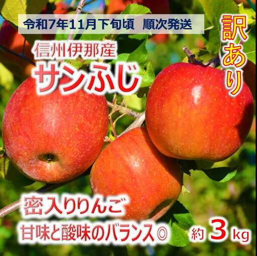 【ふるさと納税】信州のサンふじ 訳あり 3キロ!(りんご・リンゴ・林檎)【009-47】 【ふるさと納税】信州のサンふじ 訳あり 3キロ!(りんご・リンゴ・林檎)【009-47】
