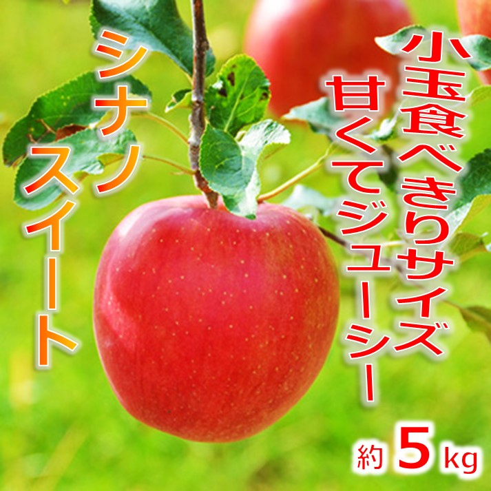 【ふるさと納税】【010-a4】信州のりんご シナノスイート 厳選!小玉食べきりサイズ! 約5キロ(りんご・リンゴ・林檎) 長野県 伊那市 ふるさと納税 5キロ 5kg 与古美