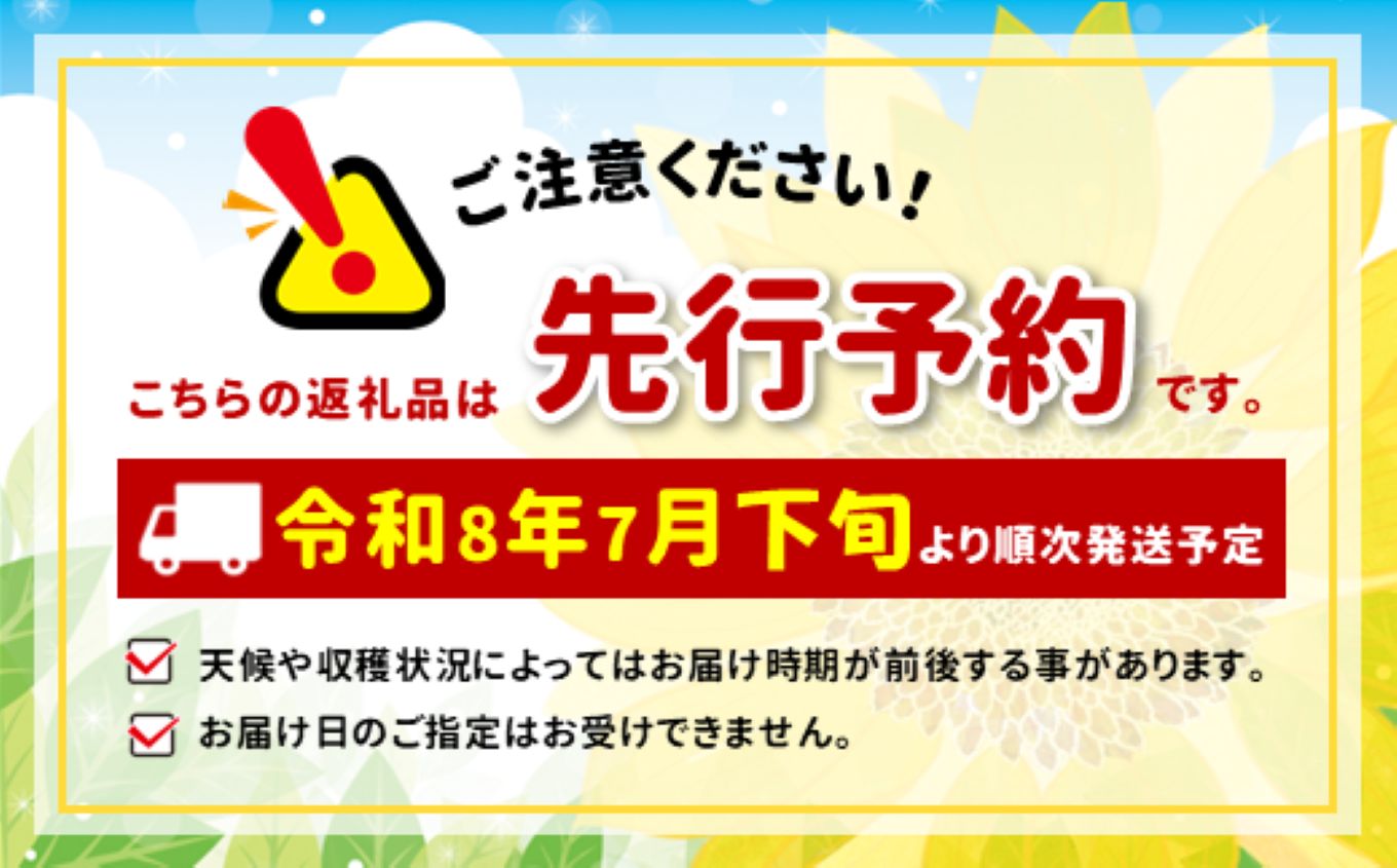 【ふるさと納税】 トマト 中玉トマト ふぞろい中玉トマト約1.5kg 七久里農園 | トマト 訳あり 野菜 やさい 新鮮 健康 美容 長野県 伊那市【009-63】