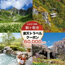 【ふるさと納税】長野県駒ヶ根市の対象施設で使える　楽天トラベルクーポン　寄付額200，000円(クーポン 60，000円)　【チケット】