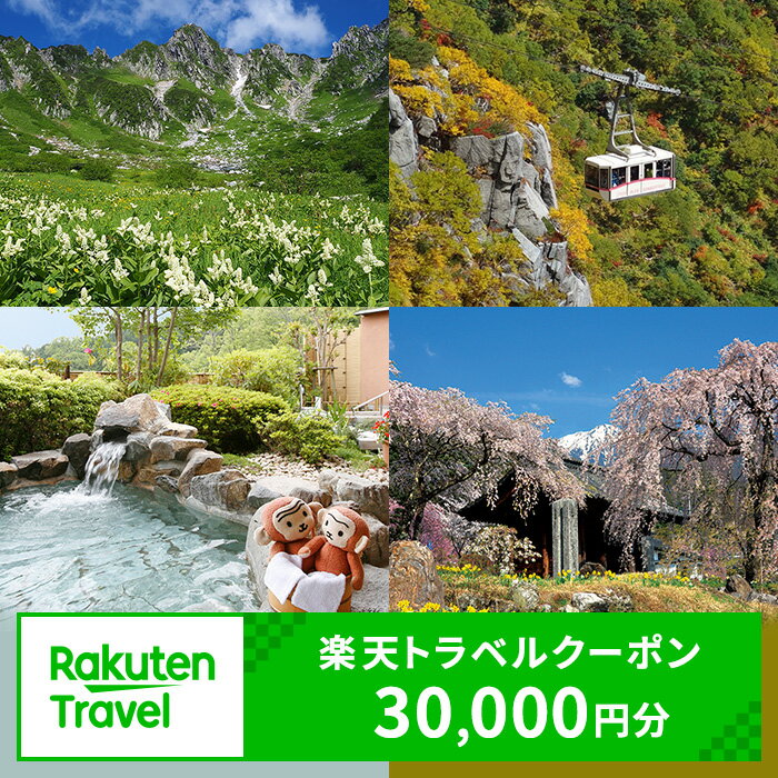 【ふるさと納税】長野県駒ヶ根市の対象施設で使える　楽天トラベルクーポン　寄付額100，000円(クーポン 30，000円)　【チケット】