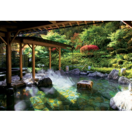 【早太郎温泉郷】宿泊補助券(20,000円) 【チケット・旅行券・宿泊券】