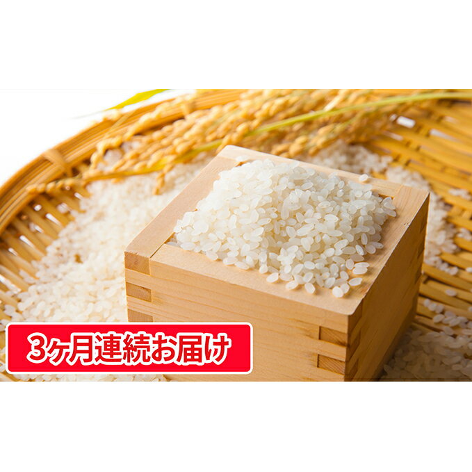 【ふるさと納税】【定期便】長野県産「コシヒカリ」（5kg×3回）【橋本商事】　【定期...