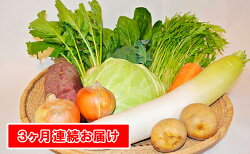 【ふるさと納税】【定期便】季節の有機野菜「詰合せセット」（10種×3回）　【定期便・野菜・セット・詰合せ・福祉用品・3ヶ月連続】 画像1