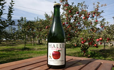 【ふるさと納税】【信州産りんご】辛口シードル「HALLE」(750ml×1本) 【お酒・辛口シードル・シードル・アルコール・リンゴ・りんご・サンふじ】