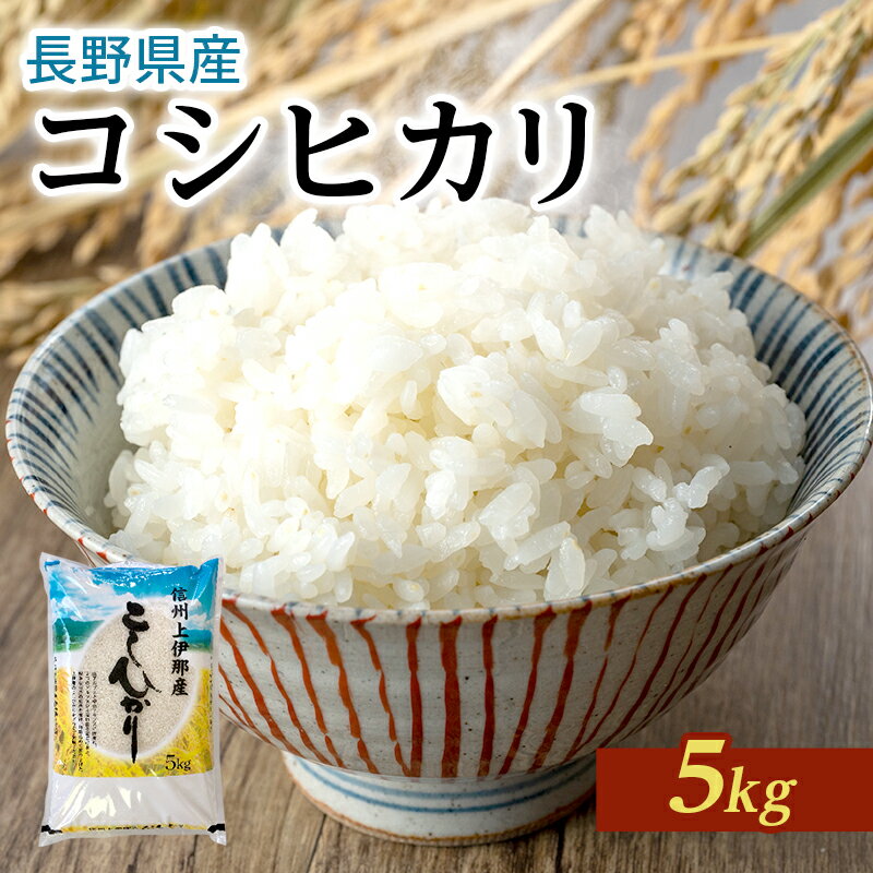 【ふるさと納税】長野県産「コシヒカリ」（5kg）【橋本商事】　【お米・おこめ・白米・こしひかり】　お届け：2022年10月下旬から順次発送