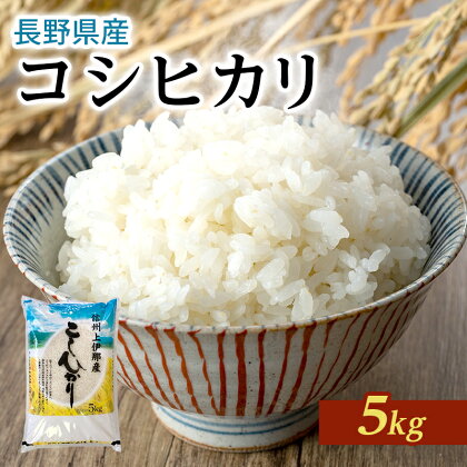 長野県産「コシヒカリ」（5kg）【橋本商事】　【お米・おこめ・白米・こしひかり】