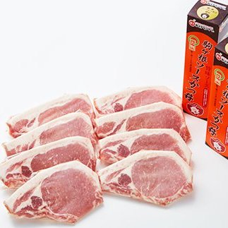 【ふるさと納税】「駒ヶ根名物」ソースかつ丼セット　【お肉・豚肉・調味料・ぶた肉・ロース・タレ付】のサムネイル