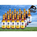 【ふるさと納税】南信州ビールOgna「飲み比べセット」（4種×5本）　【お酒・ビール・セット・詰め合わせ・地ビール・酒】