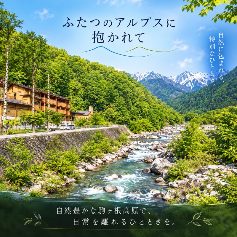 【ふるさと納税】早太郎温泉「二人静」別邸一花一葉＜露天風呂付特別室＞　4名様宿泊券 旅行券 チケット f202100-komagane-10000283 長野県駒ヶ根市 サンプル画像2
