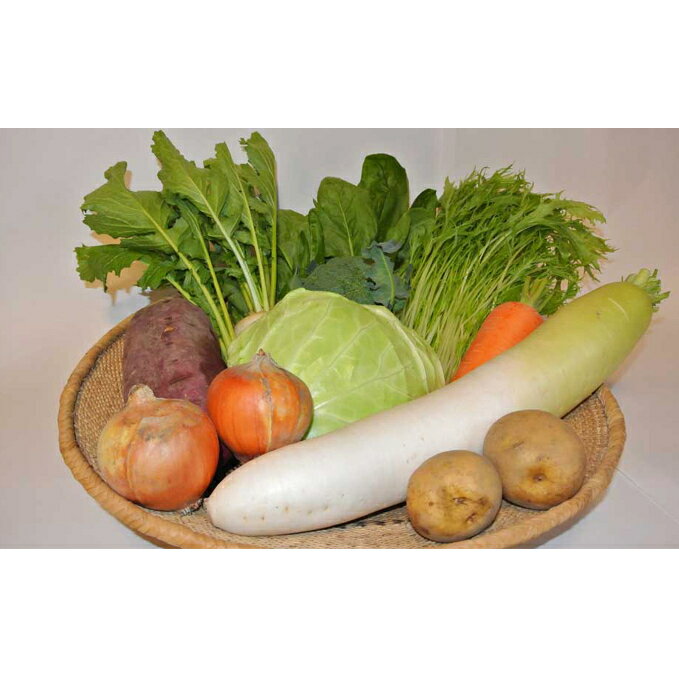 【ふるさと納税】季節の有機野菜「詰合せセット」（10種）　野菜・セット・詰合せ・福祉用品のサムネイル
