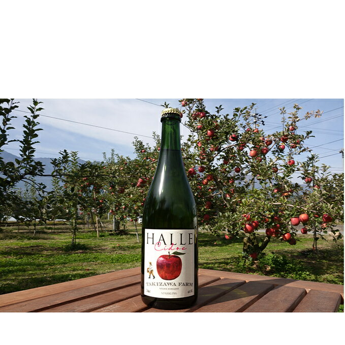 名称果実酒内容量■【信州産サンふじ】辛口シードル「HALLE」（750ml×1本）※アルコール度数：8％※長野県駒ヶ根市の自家農園産「サンふじ」のみ使用原材料りんご（長野県産）、酸化防止剤（亜硫酸塩）産地長野県駒ケ根市賞味期限-保存方法直射日光・高温多湿を避けて保存販売者北垣外　瀧澤農園長野県駒ケ根市事業者北垣外　瀧澤農園配送方法常温配送備考※画像はイメージです。※直射日光を避け、涼しい所で保存してください。※瓶内に沈殿物が見られる事がありますが果実由来の成分ですので安心してお召し上がりください。※開栓時に中身が吹きこぼれることがありますので静かにやさしく王冠をあけてください。※20歳未満の飲酒は法律で禁じられています。20歳未満の方は酒類のお申込みはできません。 ・ふるさと納税よくある質問はこちら ・寄附申込みのキャンセル、返礼品の変更・返品はできません。あらかじめご了承ください。【ふるさと納税】【信州産りんご】辛口シードル「HALLE」（750ml×1本）　【お酒・辛口シードル・シードル・アルコール・リンゴ・りんご・サンふじ】 自家農園産の採りたて「サンふじ」で造ったドライな「辛口シードル」です。中央アルプスを望む標高700mほどの日当たりの良い畑で手間を惜しまずに手入れをし、完熟で収穫後加工致しました。果実味を生かす無濾過製法と瓶内二次発酵によるさわやかな味わい。発酵時に発生する自然な炭酸ガスを封じ込めたきめ細かな泡とまろやかな果実味。さらに温度変化の少ない土蔵にて半年以上熟成させました。よく冷やしてお楽しみください。 寄附金の用途について 1　懐かしいふるさと、育てたいふるさとを全ての分野で応援 2　登山道や遊歩道、山小屋などの施設を設備し、山岳・山麓の環境を保全する事業　（観光資源を保全し活用する事業） 3　自然や景観を守り育てる事業 　 (自然・景観を保全、育成する事業) 4　子育てしやすい環境への支援や、子どもたちの生きる力をはぐくむ事業（未来を担う子どもたちへの支援事業） 5　ふるさとに暮らすお年寄りや子どもたちの安心安全をすすめる事業　 (福祉・医療体制を推進する事業) 6　ふるさとの人を育て文化をはぐくむ事業　 (教育・文化を推進する事業) 7　青年海外協力隊のあるまち、世界を見つめ外国人とともに生きるまちづくり事業　 (国際協力を推進する事業) 受領証明書及びワンストップ特例申請書のお届けについて 【受領証明書】 受領証明書は、ご入金確認後、注文内容確認画面の【注文者情報】に記載の住所にお送りいたします。発送の時期は、入金確認後1～2週間程度を目途に、お礼の特産品とは別にお送りいたします。 【ワンストップ特例申請書について】 申告特例申請書は、ワンストップ特例を希望された方へのみ、ご郵送させていただきます（受領証明書に同封）。 申請書に必要事項を記入し、押印のうえ、同封の返信用封筒にてご返送ください。 ワンストップ特例をご利用される場合、1月10日までに申請書が下記まで届くように発送ください。 マイナンバーに関する添付書類に漏れのないようご注意ください。 【駒ヶ根市　送付先住所】 〒380-0823 長野県長野市南千歳二丁目12番1号　長野セントラルビル705 レッドホースコーポレーション株式会社（駒ヶ根市業務委託先） ふるさとサポートセンター「駒ヶ根市ふるさと納税」宛