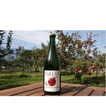 【信州産りんご】辛口シードル「HALLE」（750ml×1本）　【お酒・辛口シードル・シードル・アルコール・リンゴ・りんご・サンふじ】